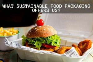 WHat-sustainablity-offers-us-1